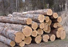 LOGS